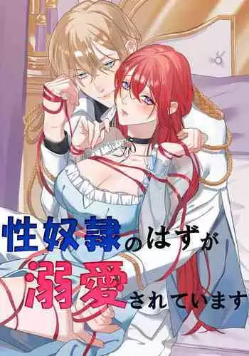 Seidorei no Hazu ga Dekiai Sarete Imasu | 身为性奴却被溺爱