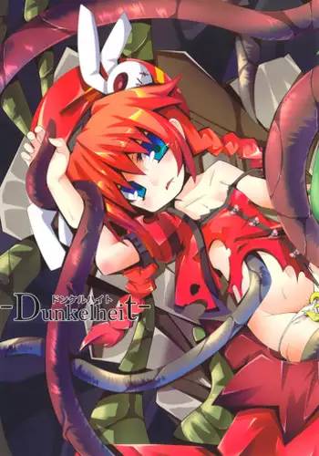[su kanchou koubou] Dunkelheit (Mahou Shoujo Lyrical Nanoha)