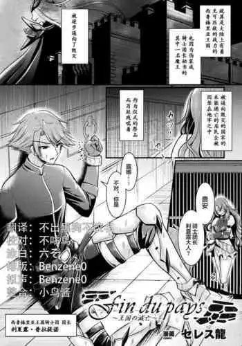 [Seres Ryu] Fin du pays ~Oukoku no Metsubou~ (2D Comic Magazine TS Akuochi Nyotaika Shita Seigikan-tachi ga Akuten Acme! Vol. 2) [Chinese] [不咕鸟x这很恶堕汉化组] [Digital]