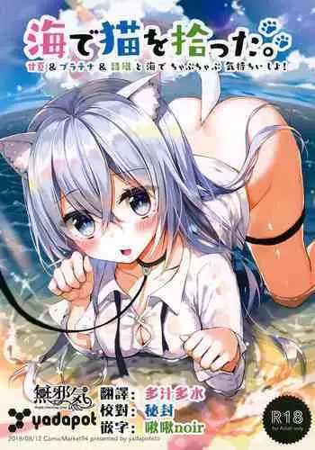 (C94) [Yadapot (Yadapoteto)] Umi de Neko o Hirotta. [Chinese] [無邪気漢化組]