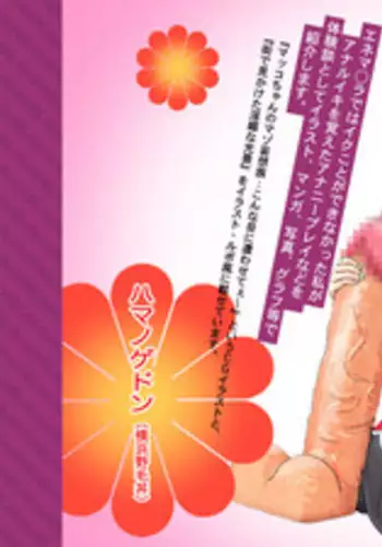 アナニー入門〜女装子マッコ流アナニー生活〜