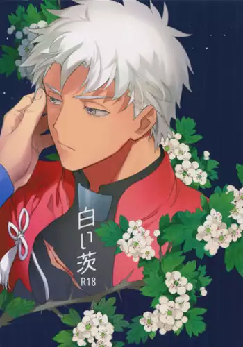 (Dai 11-ji ROOT4to5) [Yoke (emya)] Shiroi Ibara (Fate/Grand Order)