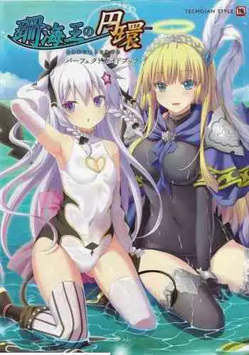 Sankai Ou no Yubiwa Perfect Guidebook