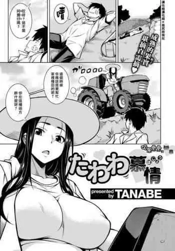 Tawawa Bojou | 碩果纍纍的戀慕