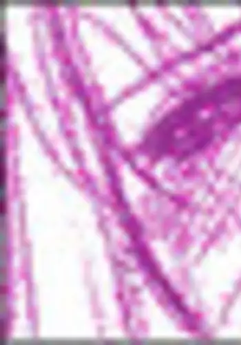 T[THE SATURN]監禁されたウインリィ 孕ませ腹ボテ妊娠出産の儀