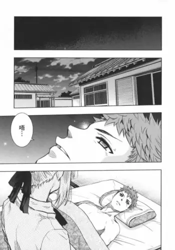 fate R18一夜之夢