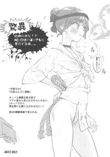 Kyoui Tekichuuritsu 0%!? NEKO Musume no Cosplay o Yosou Suru Hon....