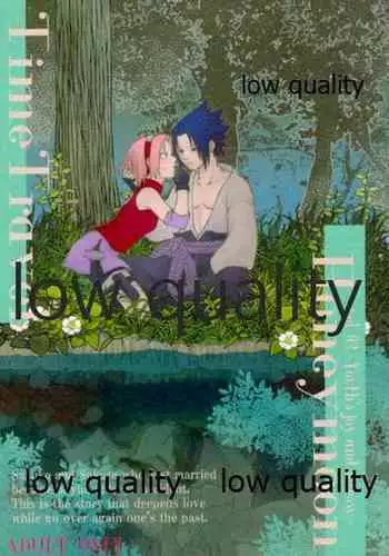 (Zennin Shuuketsu 12) [Ukiseikou (Yamadon)] Time Travel Honeymoon 2 (Naruto)