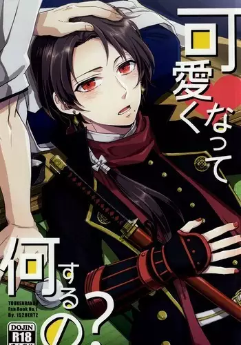 Kawaiku Natte Nani Suru no?