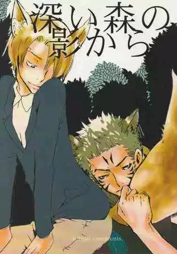 深い森の影から