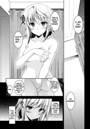[ELHEART'S (息吹ポン)] A Story About What Ichika, One of the Most Dense Oaf Ever, and Charl did in the Fitting Room (Infinite Stratos) (INCOMPLETE)
