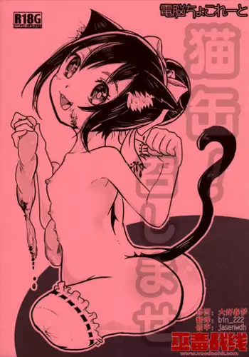 (ABnormal Comic Day! 2) [Dennou Chocolate (AwA)] Nekokan! Meshimase [Chinese] [巫毒汉化组]