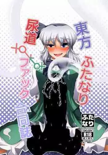 Touhou Futanari Nyoudou Fuck Goudoushi