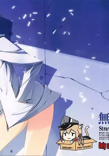 Strawberry Condensed Milk | 草莓奶昔