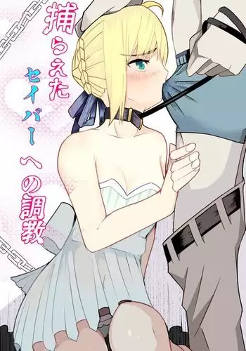 Training to Saber captured