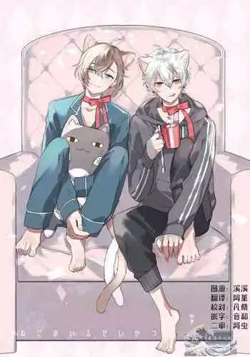 Neko no Iru Seikatsu | 有猫的生活