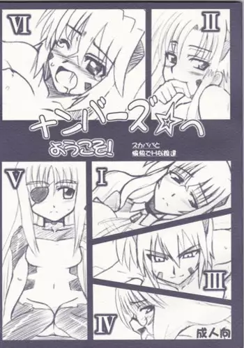 (SC37) [Take Out (Zeros)] Numbers e Youkoso (Mahou Shoujo Lyrical Nanoha)