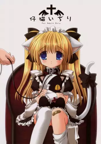 (C65) [Neko Kinryouku (NekoNeko)] Koneko Idiri