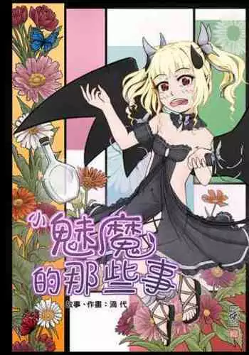 小魅魔的那些事