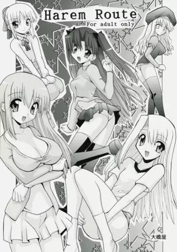 (Comic Castle 2006) [Oohashiya (Oohashi Hikaru)] Harem Route (Fate/stay night)