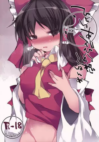 (C88) [Sunset Beach (Hammer)] Hitoriasobi Gensou 3-nenme (Touhou Project)