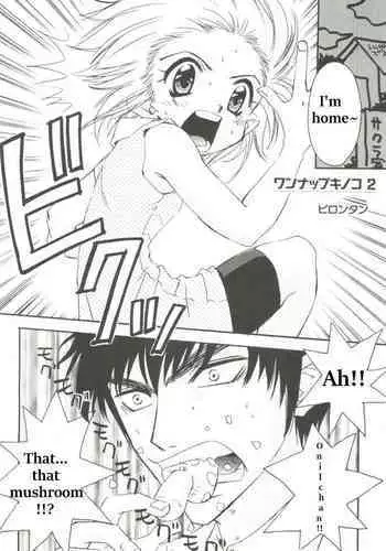 One-up Kinoko 2 | Kunatsupu Mushroom 2