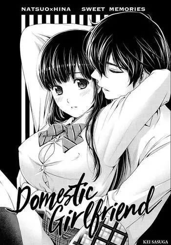 Domestic na Kanojo Chapter 164.7