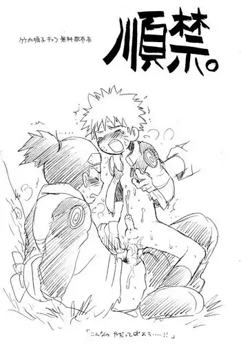 (Shotaket 8) [KuruGuru DNA (Hoshiai Hilo)] Junkin. (Various)