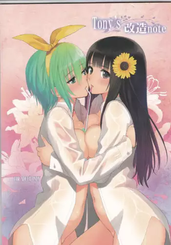 (C86) [T2 ART WORKS (Tony)] Tony's Kaizou note