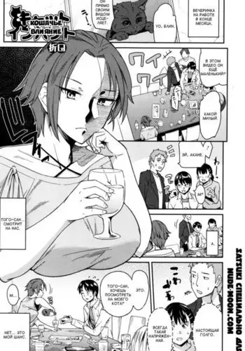 Cat Impact | Кошачье влияние