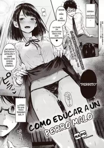 Como entrenar a un perro malo