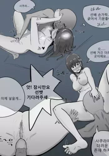 시로 사쿠라 떡