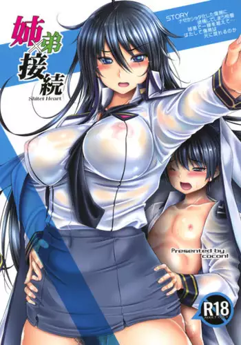 (C90) [cocon! (Otone)] Kyoudai Setsuzoku (Masou Gakuen HxH) [Chinese] [义军AneMoe]