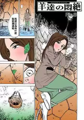 [Momoyama Jirou] Hitsuji-tachi no Monzetsu file. 8 [Chinese]