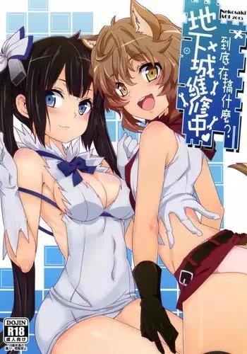 What Should I Do When the Dungeon is Under Maintenance? {Hennojin}