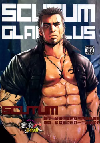 (C91) [RYCANTHROPY (Mizuki Gai)] SCUTUM (Final Fantasy XV) [Chinese] [黑夜汉化组]