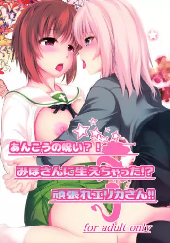 (C91) [Pandora Box (Hakomaru.)] Ankou no Noroi?! Miho-san ni Haechatta!? Ganbare Erika-san!! (Girls und Panzer)