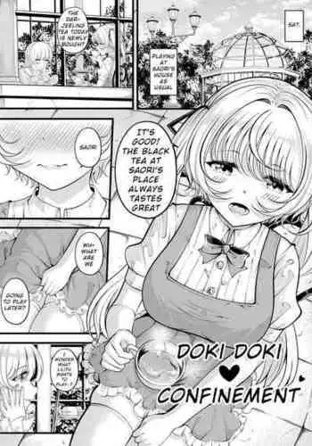 [Gin-chan] Lilith's Troubles—Doki Doki Confinement