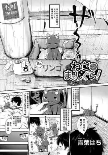 ねこまっしぐら!