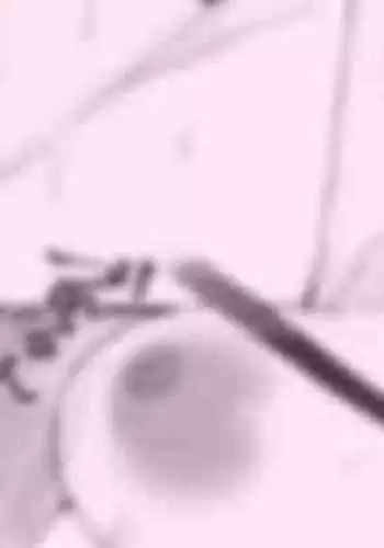 [おんどれあんこ餅] 続ワンダショのために! (プロジェクトセカイ)