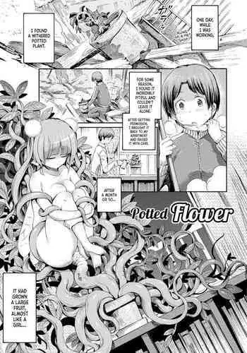 Hachi no Ue no Flower | Potted Flower