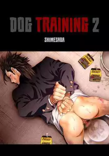 Dog Training 2