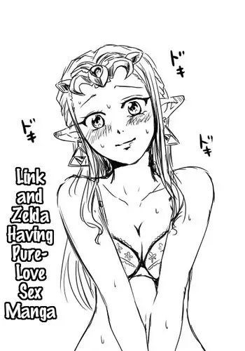 [Wasabi] Link to Zelda ga Jun Ai Ecchi suru Manga | Link and Zelda Having a Pure-Love Sex Manga (The Legend Of Zelda) [English] [rookie84]