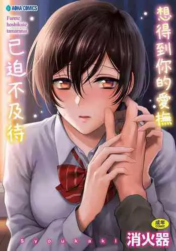 Furete Hoshikute Tamaranai | 想得到你的愛撫 已迫不及待