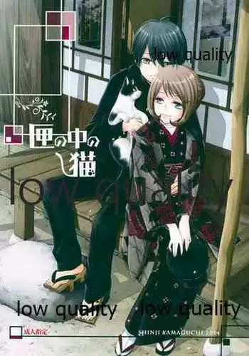 [やまぐち楼 (ヤマグチシンジ)] 匣の中の猫 [2015年5月15日]