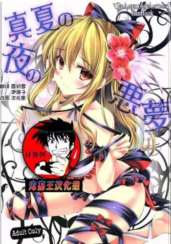 (SC2016 Winter) [HIGH RISK REVOLUTION (Aizawa Hiroshi)] Manatsu no Yoru no Akumu (Granblue Fantasy) [Chinese] [鬼畜王汉化组]